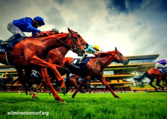 Cheval DE Base Prono (1)