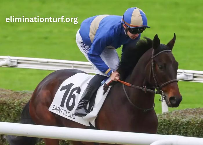 Equidia Du Jour (3)