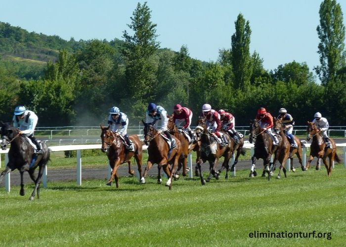 Le Journal Du Parieur (1)
