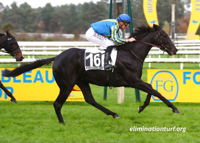 Les 4 Gagnants Vip (1)