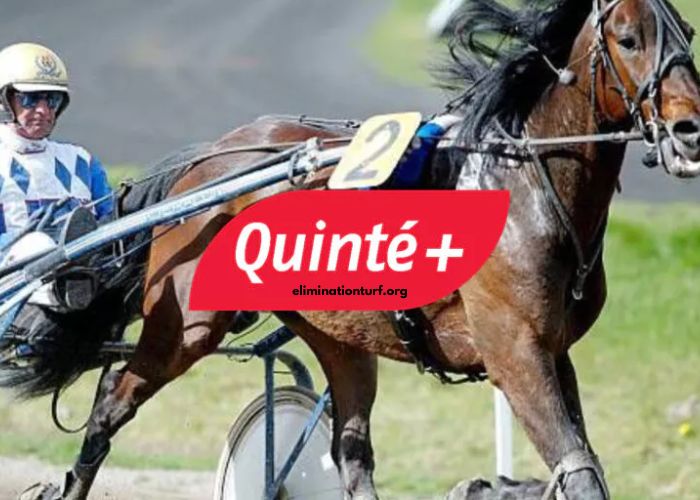 Pronostic Quinte Plus