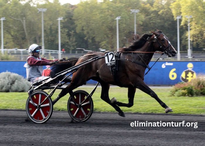 Lonab Journal Hippique (3)