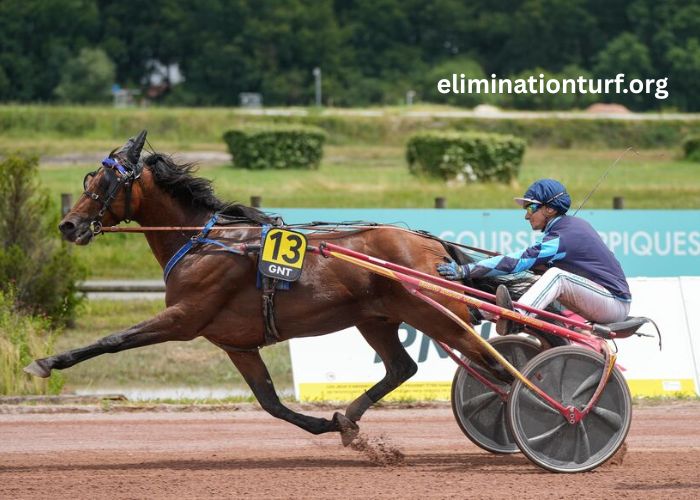 Tiercé en OR (2)